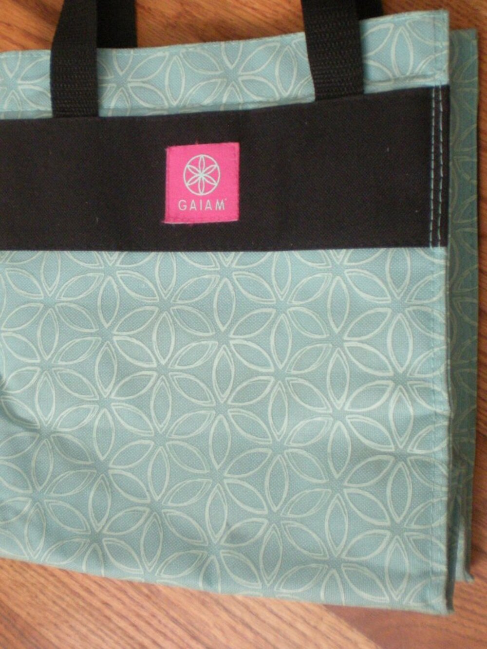 Gaiam Lunch Tote - Teal + black handles